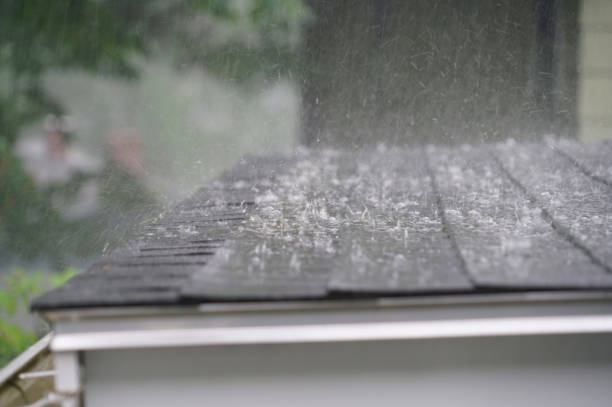 Professional Roofing Services in Olathe, CO